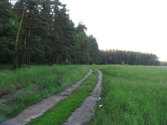 Лес и поле между Железнодорожной и Черным