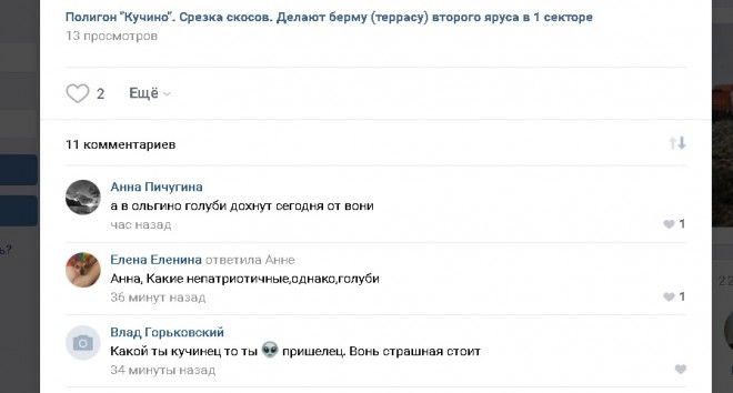 голуби.jpg