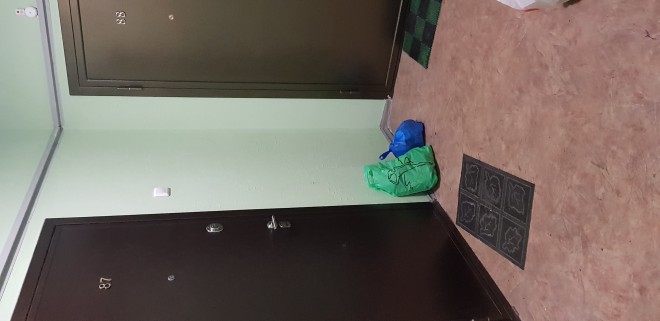20181205_061714.jpg